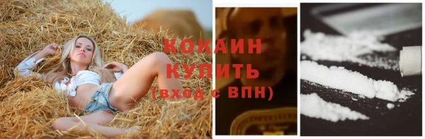 spice Няндома