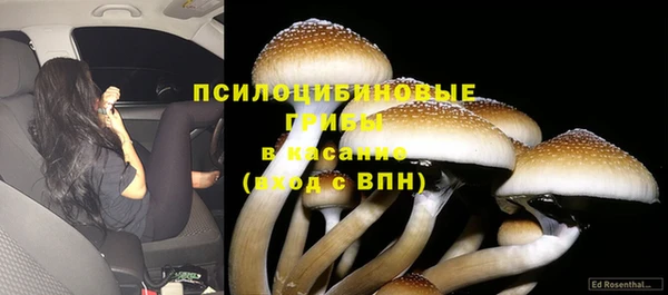 spice Няндома