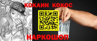 индика Гатчина