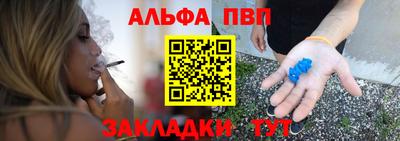 индика Гатчина