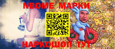 индика Гатчина