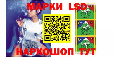 индика Гатчина