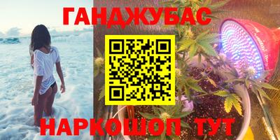 индика Гатчина