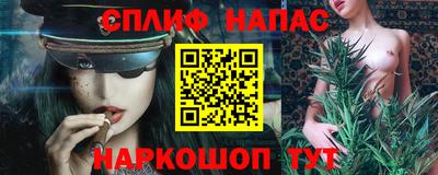 индика Гатчина