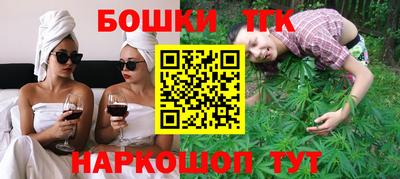 индика Гатчина