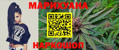 индика Гатчина