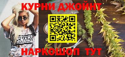 не бодяженный Гай