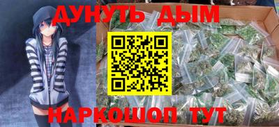 индика Гатчина