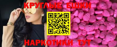 индика Гатчина