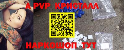 индика Гатчина