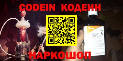 индика Гатчина