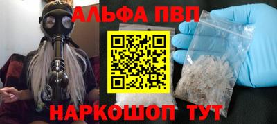 индика Гатчина